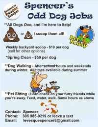 Odd dog jobs