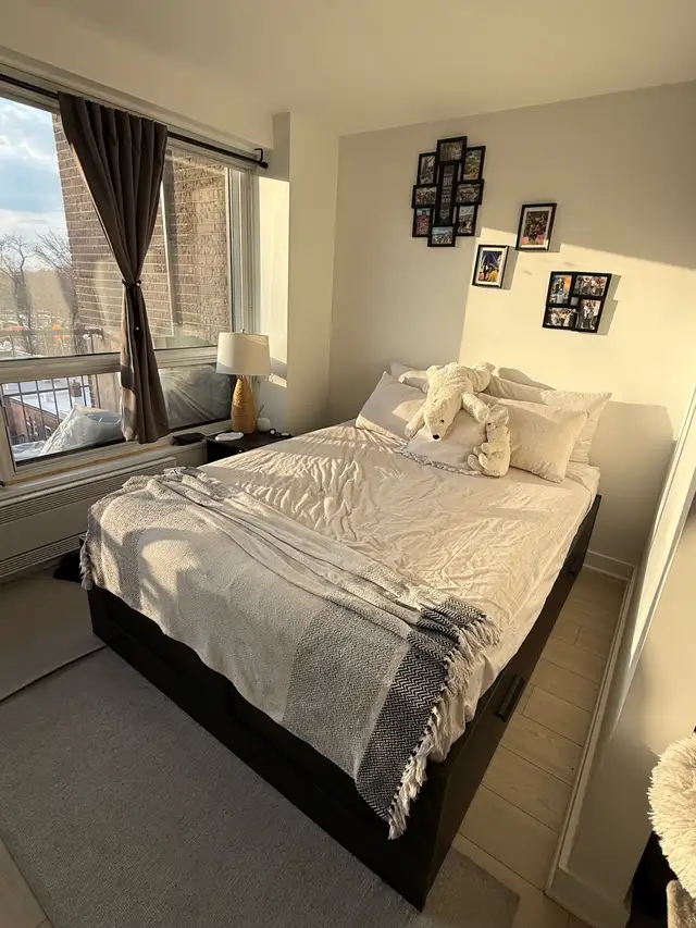 Appartement à louer/ apartement for rent