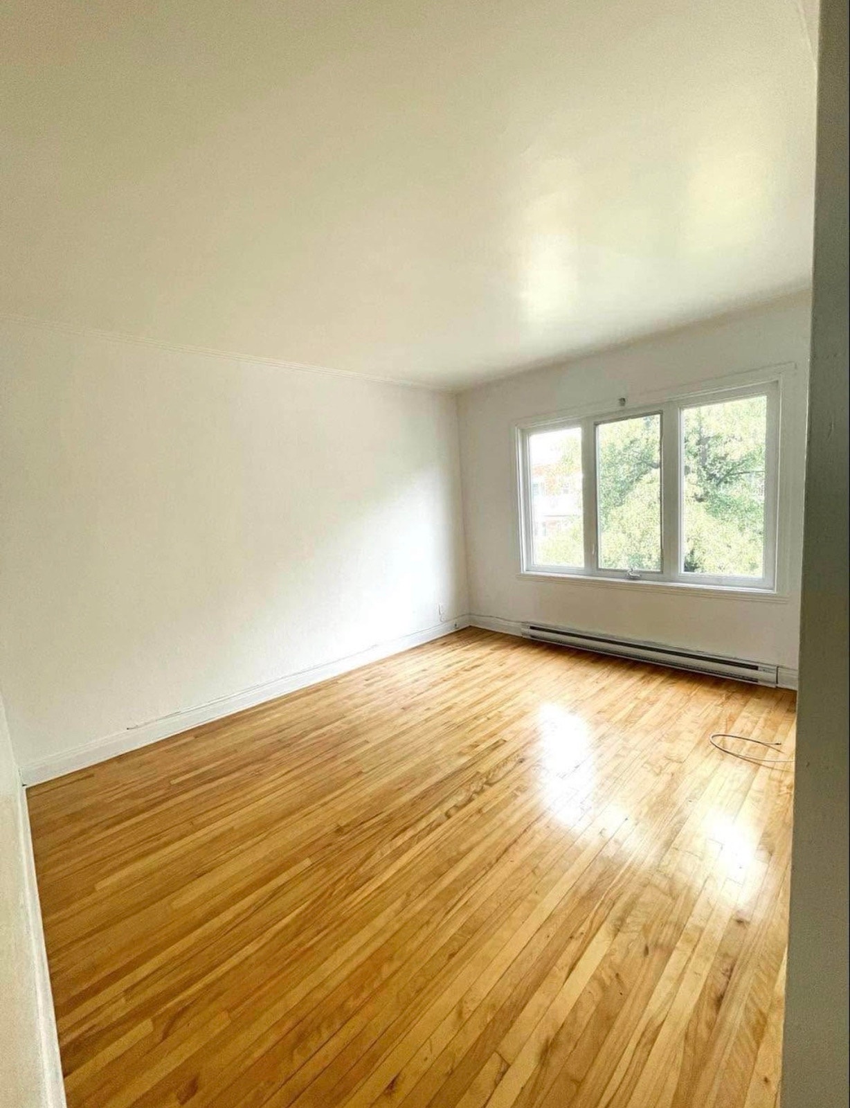 1506 Rue Rolland — photo 1