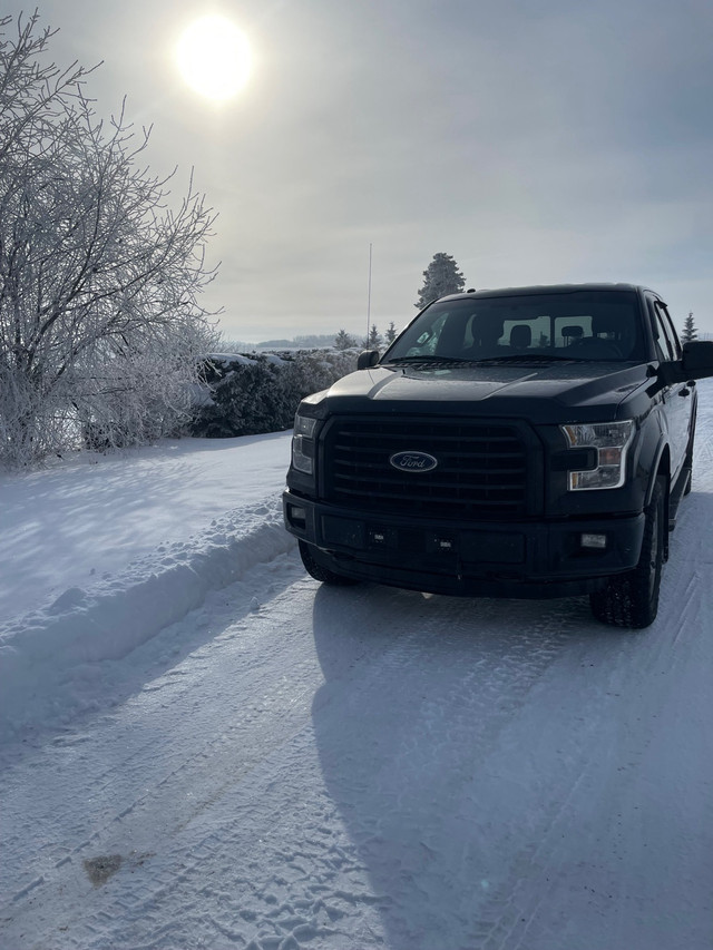 2016 f150 3.5l EcoBoost for sale or trade.  in Cars & Trucks in Prince Albert - Image 3
