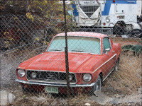 1967/1968 ford fastback mustang any condition WANTED