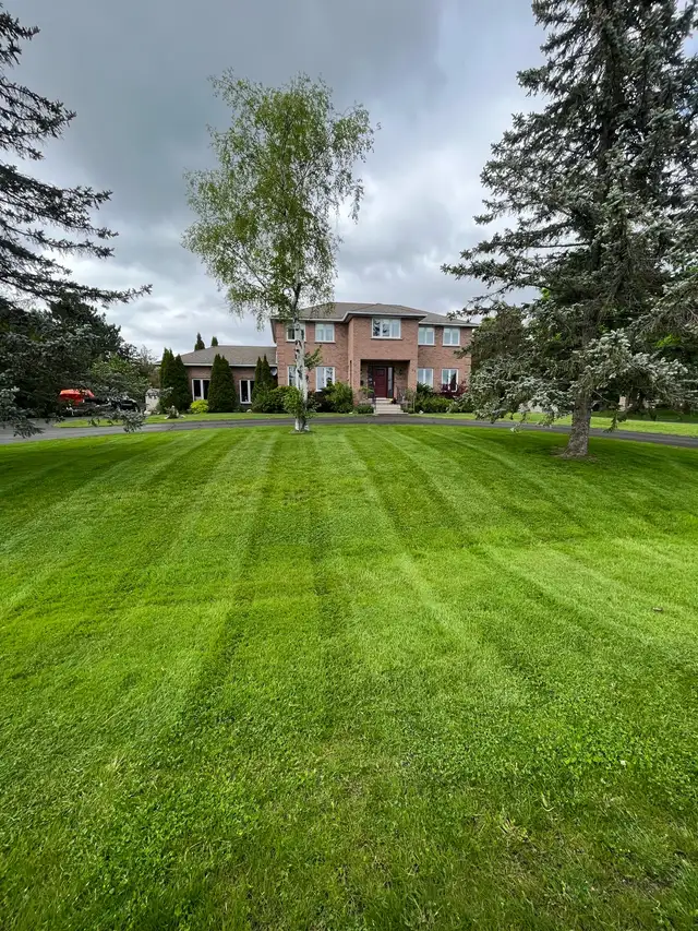 Lawn Care & Landscaping Services in Lawn, Tree Maintenance & Eavestrough in Belleville - Image 2