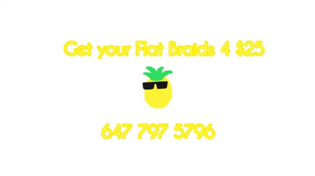 Flat braids ..$25