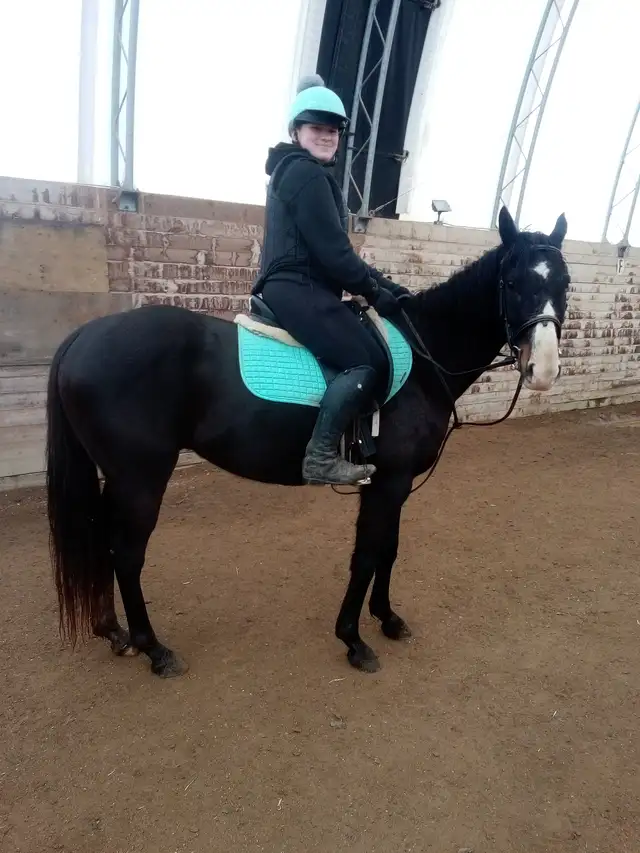 Horse Riding Lessons65281311096067120