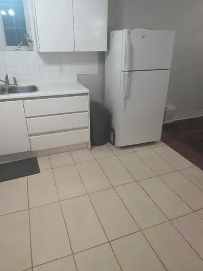 newly renovated basement apartment, seperate entrance.