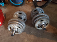 Dumb bell weights