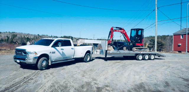 Livestock Transportation in Livestock in Sudbury - Image 2