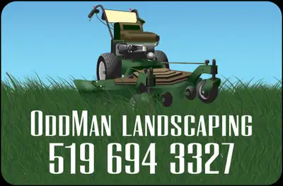 Odd man landscape , View more
