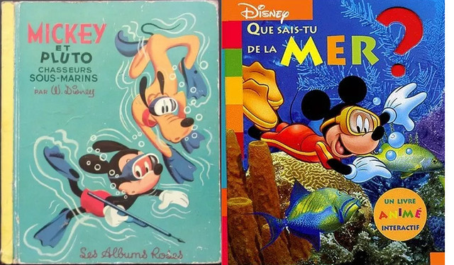 Recherché : ces livres Disney // Looking for these Disney books dans Livres jeunesse et ados  à Granby