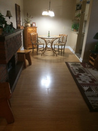 COTTAGE THEMED FULLY FURNISHED 1 BDRM APT(short lease avail)