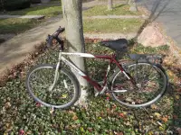 Nakamura Hybrid Bike - has a Bike Rack - near U of T campus