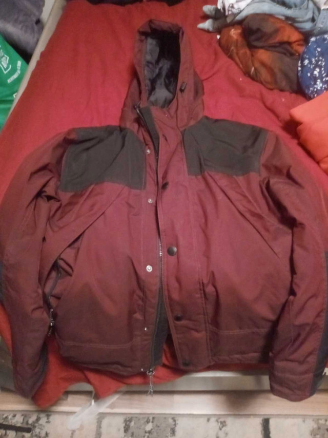American eagle winter jacket size xs mens  in Other in Saint John