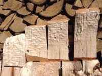 Firewood premium maple