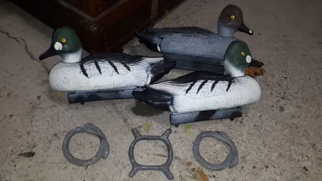Duck Decoys in Fishing, Camping & Outdoors in Kawartha Lakes - Image 2