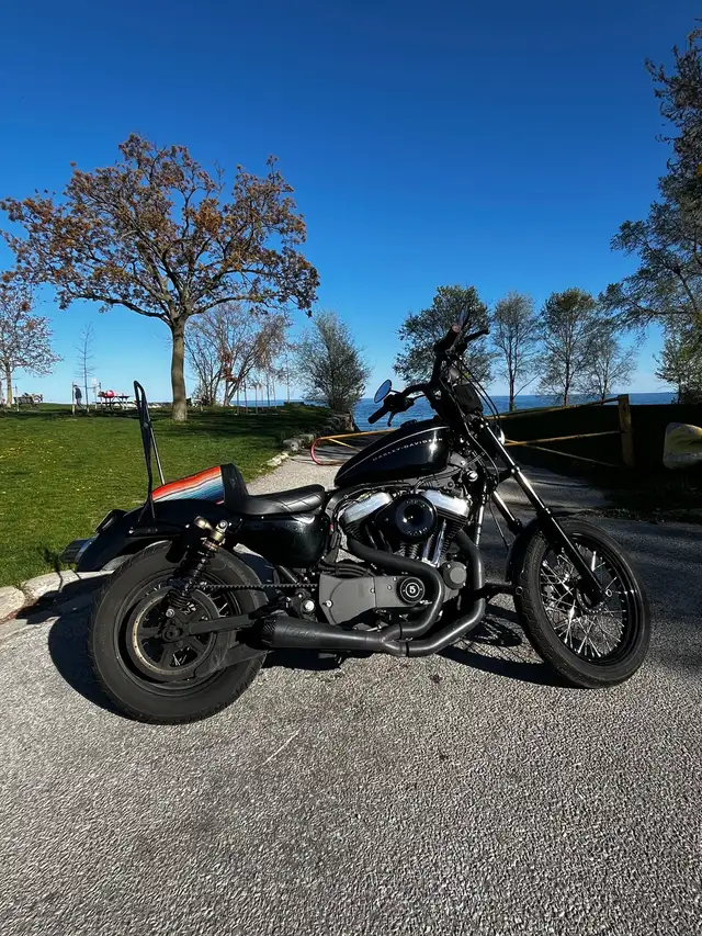 2010 Harley Davidson Nightster 1200 XL in Sport Touring in City of Toronto - Image 2