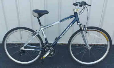 Schwinn bike kijiji sale