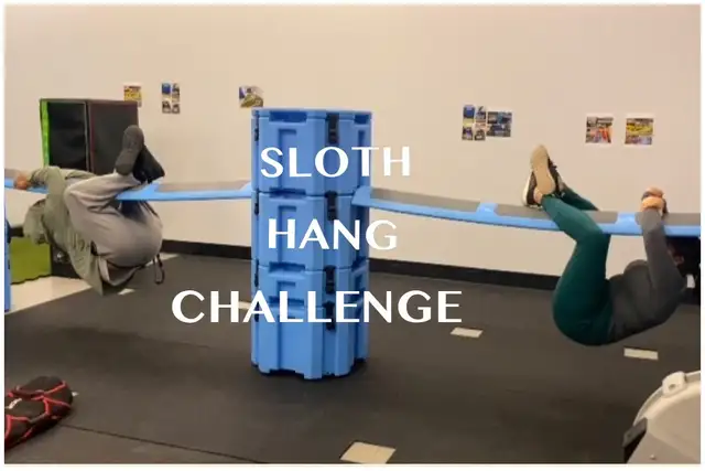 Railyard Fitness Benches & Plyo Boxes Commercial Gym Equipment in Exercise Equipment in Prince George - Image 5