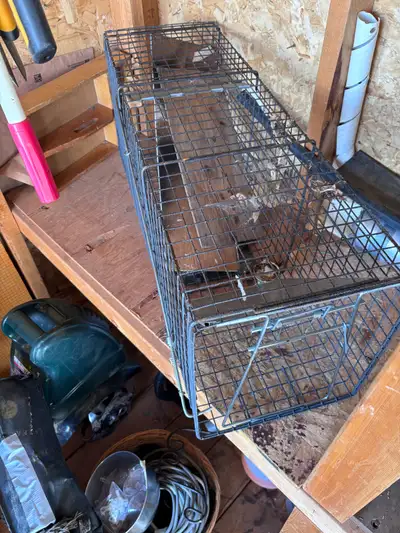 VEVOR Live Animal Cage Trap, , View more