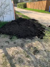 Free garden dirt 