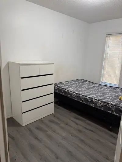 1 room available immediately (female only ) 2 room available September Beautiful spacious rooms for...