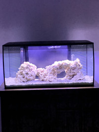 Fluval 32.5g Marine / Reef tank 