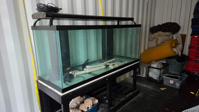 Aquarium New 220 Gal in Accessories in Vancouver - Image 2