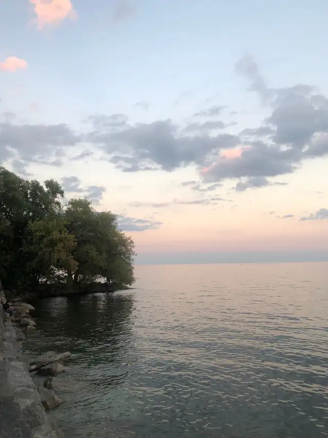 Looking to Build a Genuine Friendship – Mississauga/Vaughan64573403658755120