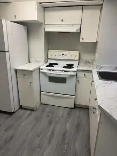 1 Bedroom 1 Washroom Basement Separate entry 1 parking spot No WiFi No laundry