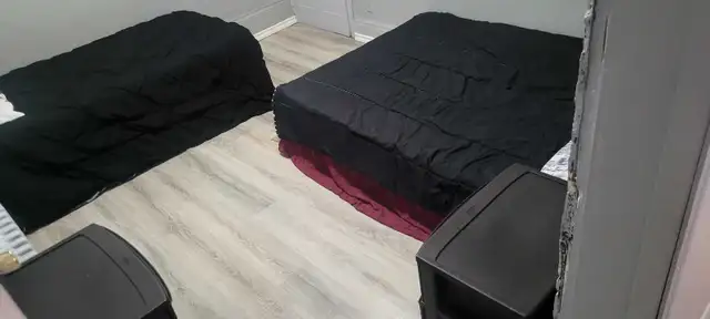ST CATH APT484987661945425922