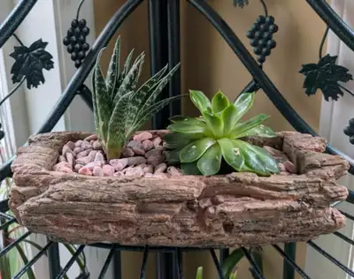 Succulent Planter, View more