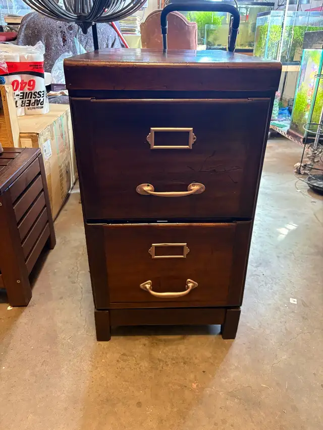 The Pre-Eniment registered no. 688705 design Filing cabinets in Other in Calgary - Image 2
