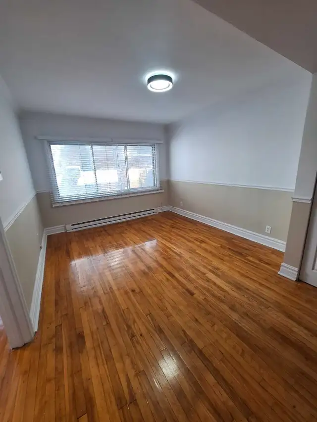 Downtown Plateau 3.5 apt. On clark st/ prince-arthur63860084122883121