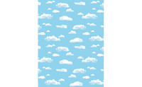 Rouleau papier/Paper roll (Clouds) 122 cm. X 15.2 metres