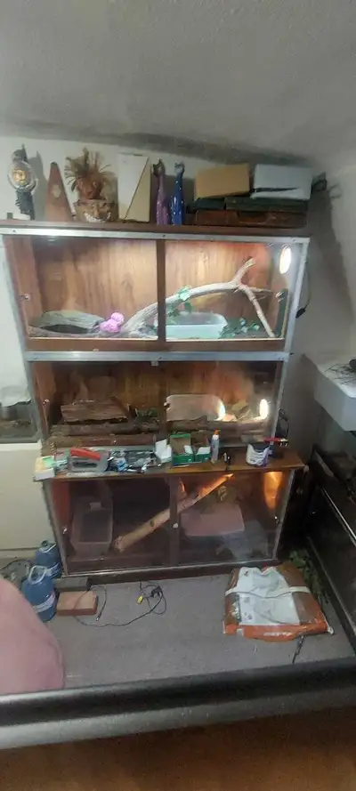 Reptile Hutch (snakes, lizards, etc), View more