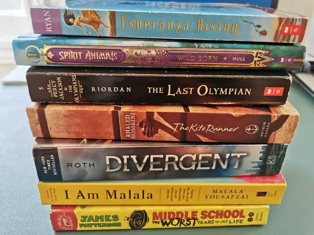 Books YA/Teen in Fiction in Markham / York Region - Image 4