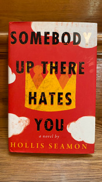 Somebody Up There Hates You (hardcover) by Hollis Seamon