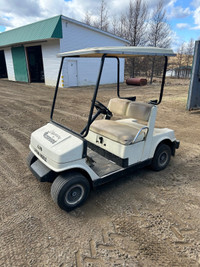 Voiturette/car de golf