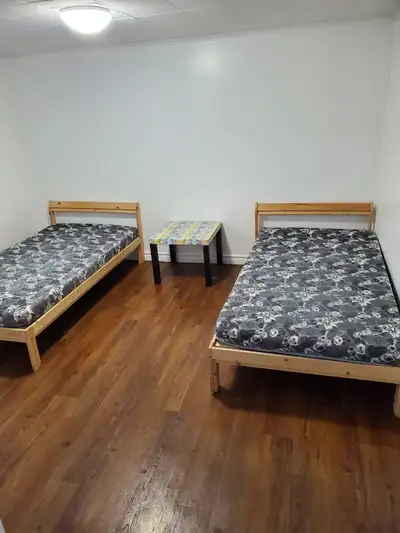 Rooms in the basement sharing with vegetarian girls