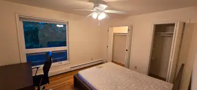 Hi, I currently have a freshly painted and furnished private 1 bedroom for rent near MSVU/Bedford hi...