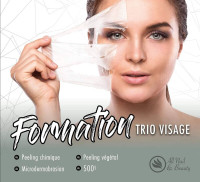 Formation microdermabrasion et peeling