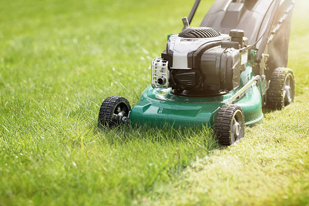 Lawn Mowing Service  in Lawn, Tree Maintenance & Eavestrough in Dartmouth