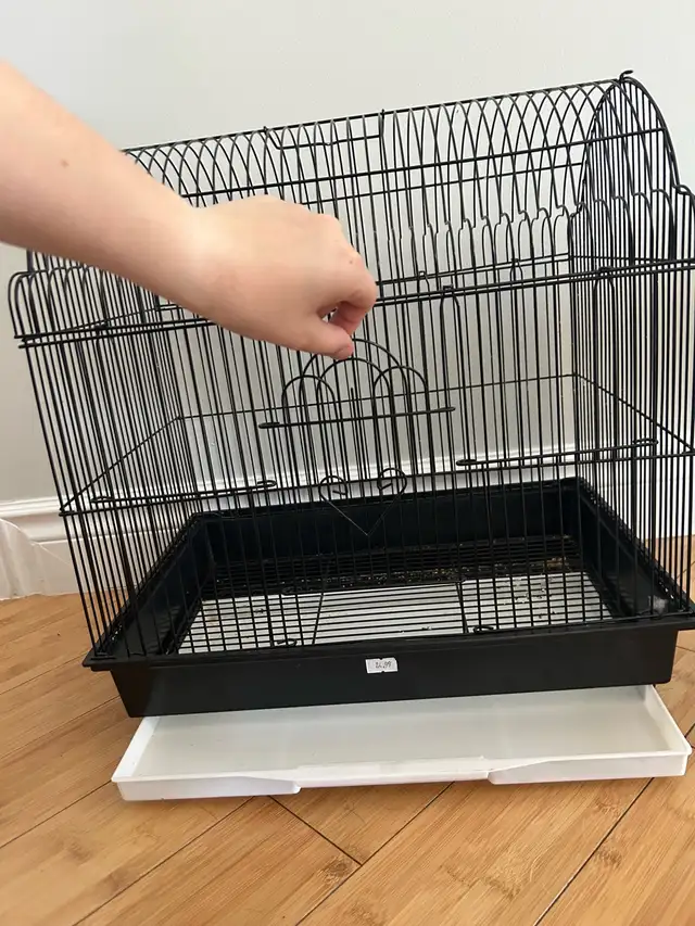 Cage oiseaux  in Accessories in Laurentides - Image 4