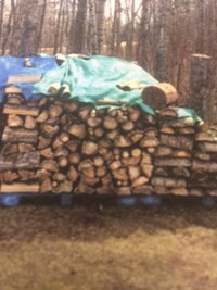 Firewood For Sale for Camping or this winter