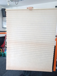 TWO Light Filter Honeycomb Shades