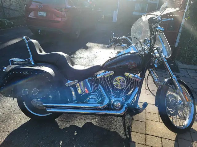 2007 Harley-Davidson Softail Dyna Large Cruise in Street, Cruisers & Choppers in Markham / York Region - Image 4