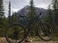 Norco Fluid FS 3