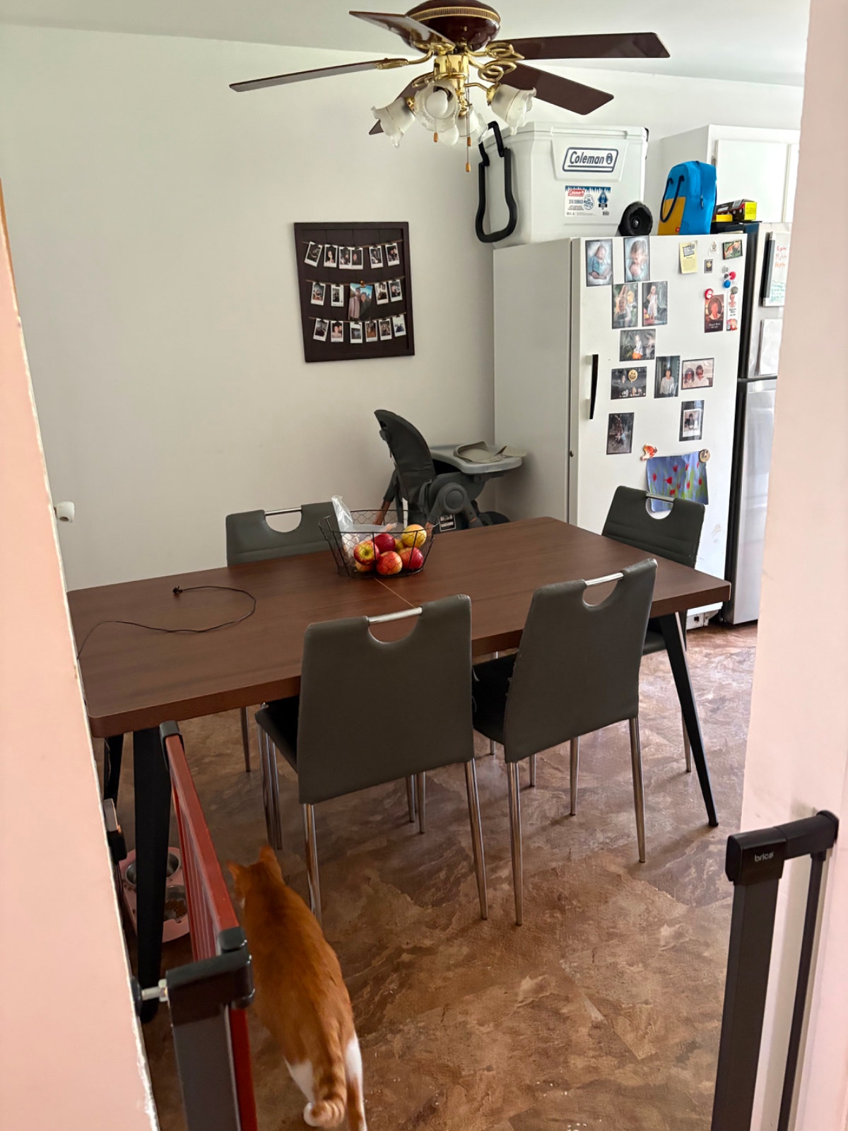 4 1/2 Montreal Nord apartment — photo 3
