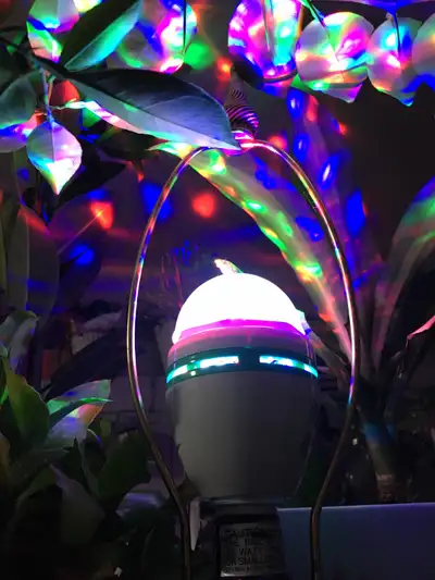 Disco light bulb, View more