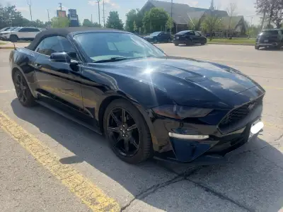 Selling my 2019 Mustang convertible. Only 63K km, Black, Tint, AC, Heated seats, carplay. Well maint...