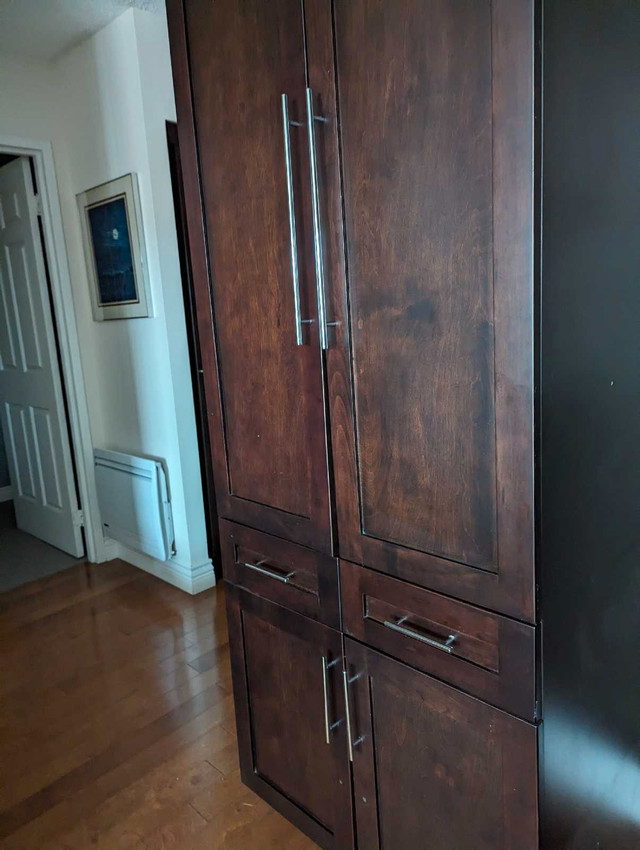 Armoire de rangement  dans Commodes et armoires  à Longueuil/Rive Sud